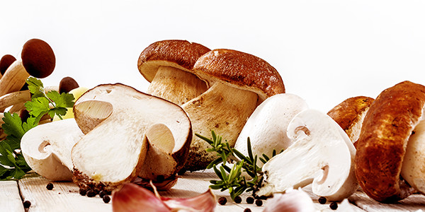 Mushroom Paste