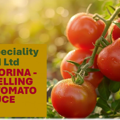 BEST SELLING PRODUCT POMODORINA