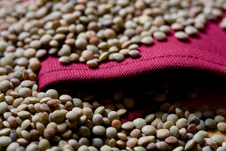 Colfiorito Lentils 12x350g