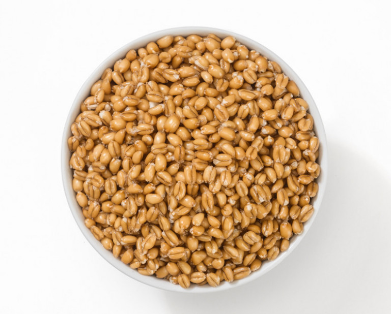Menu Z71X Farro al Naturale 6x800g Tins  *OD*