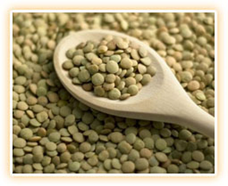 Small Green Lentils (Lenticchie piccole verdi) Organic 12x500g